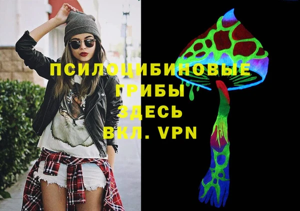 дмт Аркадак