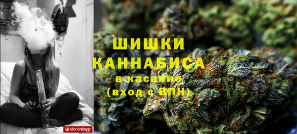дмт Аркадак