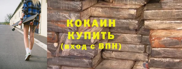 индика Армянск