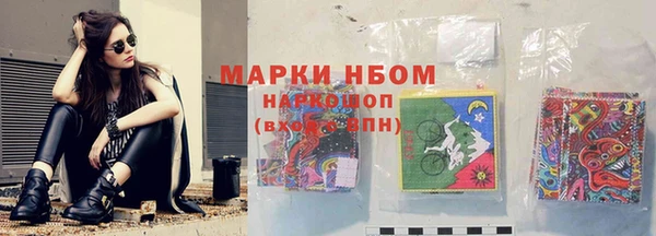 индика Армянск