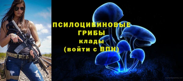 индика Армянск
